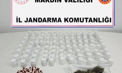 Mardin'de narkotik operasyonu: 1 tutuklama