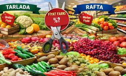 Tarla ile raf arasındaki makas açıldı: Markette 3,5 katına satılıyor
