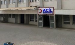 Siirt'te 3 yaşındaki çocuk süs havuzunda boğulma tehlikesi geçirdi