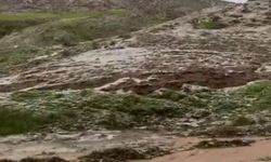 Siirt’te dolu yağışı tarım alanlarına zarar verdi