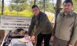 Siirt’te kaçak avcıya 51 bin lira ceza