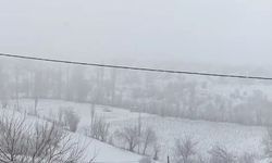 Siirt’te yüksek kesimler karla kaplandı