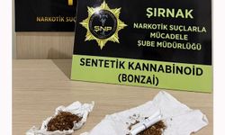 Şırnak'ta 610 milyon TL'lik kaçakçılık operasyonları