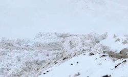 Şırnak'ta ilkbaharda kar yağışı: 2 bin 200 rakımda ikinci çığ yaşandı