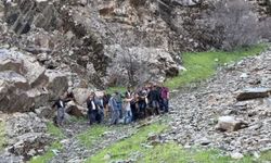 Şırnak'ta pancar toplarken kayalıklardan düştü