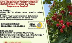 Sözleşmeli böğürtlen üretimi için ön talep başvuruları başladı