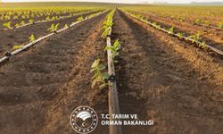 Tarımsal sulama yatırımlarına hibe desteği artırıldı