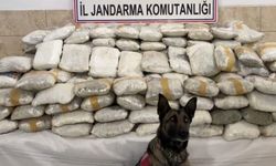 Van ve Hakkari’de narkotik operasyon: 446 kilo ele geçirildi