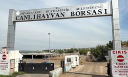 Diyarbakır Canlı Hayvan Borsası tadilata alındı