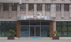 Yaban domuzu etkisiz hale getirildi