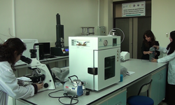 Zeytinle gelen temizlik: Mikroplastiklere karşı yeni nesil filtre