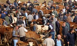 Kurban kesimi için Diyarbakır'da hangi noktalar belirlendi?