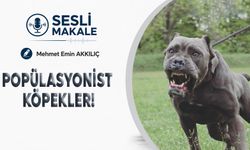 POPÜLASYONİST KÖPEKLER!