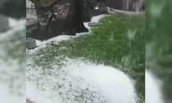 Diyarbakır'da etkili olan sağanak ekinlere zarar verdi