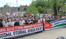 Diyarbakır İslami STK'lar: Sumud ve Gazze yalnız değildir!