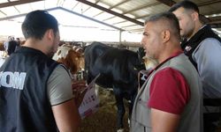 Adıyaman'da kurbanlık pazarında sahte para ve IBAN uyarısı