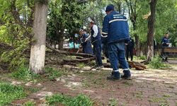 Gaziantep'te fırtına sonrası yaralar sarılıyor