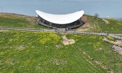 Göbeklitepe yağışların ardından yeşil örtüyle kaplandı