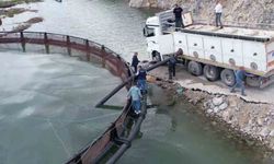 İhraç edilecek somanlar için yavru balıklar suya bırakıldı