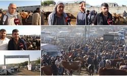 Diyarbakır Hayvan Pazarında esnaf tepkili: Girişten çıkışa kadar her şey sıkıntı!