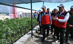 Batman'da "Fidan üretim üssü" projesi tanıtıldı