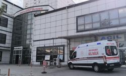 Batman'da yaban mantarı yiyen adam hastanelik oldu