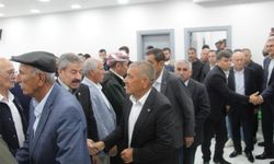 Şırnak'ta 29 kişinin yaralandığı kavga barışla sonlandı