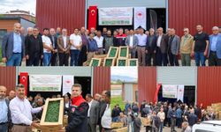 Bingöl’de 570 çiftçiye 330 bin adet sebze fidesi dağıtıldı