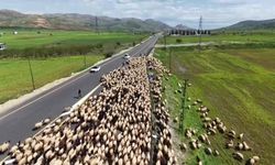 Binlerce yıllık gelenek: Mardin kışlaklarından Van yaylalarına zorlu yolculuk