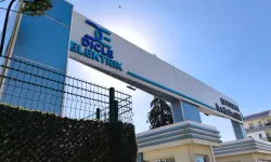 Dicle Elektrik'ten 100 milyar TL'lik yatırım vaadi
