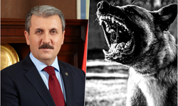Destici: “Bu bir halk güvenliği sorunudur”