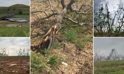 Diyarbakır ve Güneydoğu'ya kuvvetli sağanak uyarısı: Sel, dolu ve fırtınaya dikkat