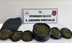 Diyarbakır'da operasyon: 20 kilo skunk ele geçirildi