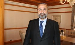 Dr. Özçelik: Başıboş köpekler halk sağlığı ve çevre güvenliği açısından ciddi risk oluşturuyor