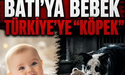 Bosh ve BBC.. Batı'ya bebek, Türkiye'ye ''köpek''