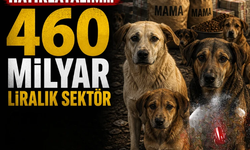Mama lobisini hatırlayalım...460 milyar liralık sektör