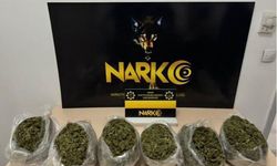 Kızıltepe’de 3,3 Kg skunk ele geçirildi