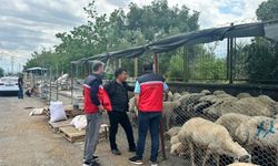 Diyarbakır’da Kurban Bayramı öncesi denetimler sıklaştırıldı