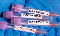 Hantavirüs nedir? Belirtileri ve tedavi yöntemleri nelerdir?