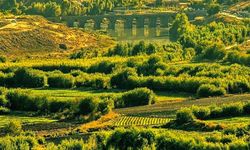 Hevsel Bahçeleri için suç duyurusu