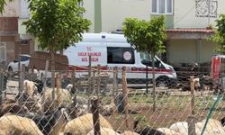 Kasaplardan Kurban Bayramı öncesi 'acemilik' uyarısı