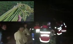 Diyarbakır'da ışkın toplamaya gitti, başına gelmeyen kalmadı