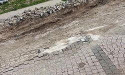 Mardin'de bozuk yollar tepki çekiyor
