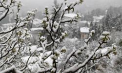 Mayıs ayında şaşırtan tablo: Çamlıyayla’da kar