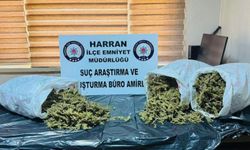 Şanlıurfa'da 8 kilo narkotik ele geçirildi: Bir şahıs tutuklandı