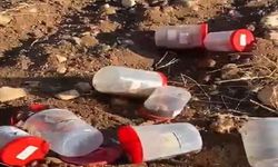 Mezarlıkta bulunan ceninler soruşturmasında 4 şüpheli serbest bırakıldı