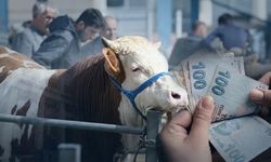 Diyarbakır'da kurban pazarlarına sahte para alarmı