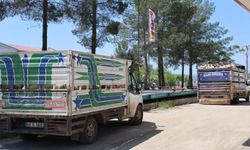 Diyarbakır'dan şehir dışına kurbanlık sevki devam ediyor