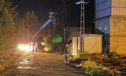 Şanlıurfa'da Dicle Elektrik'ten fırtına mesaisi