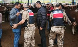 Şanlıurfa’da hayvan pazarlarında Kurban Bayramı tedbirleri artırıldı
